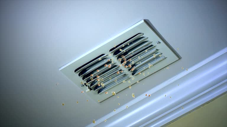Best Best Air Duct Cleaning Company  in South Pittsburg, TN